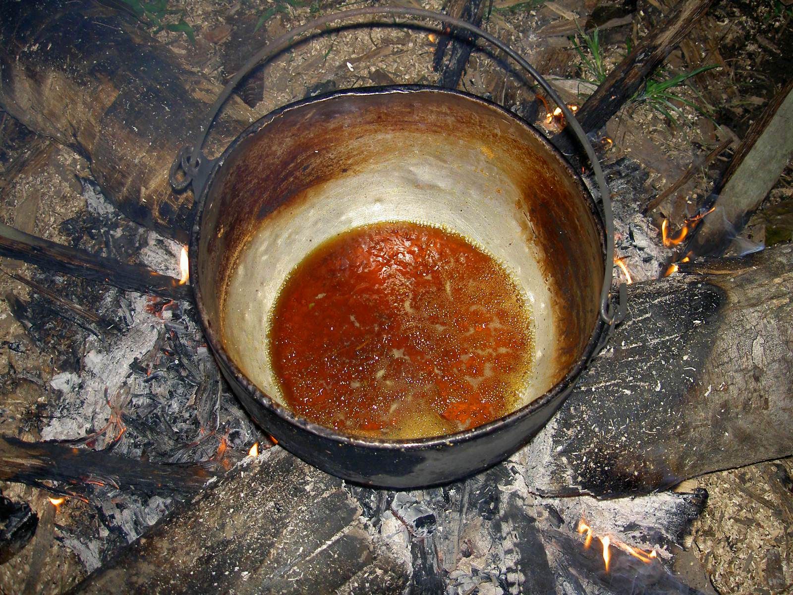 Ayahuasca_preparation.JPG