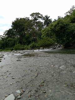 Download 73 Koleksi Gambar Gif Sungai Mengalir Paling Bagus HD