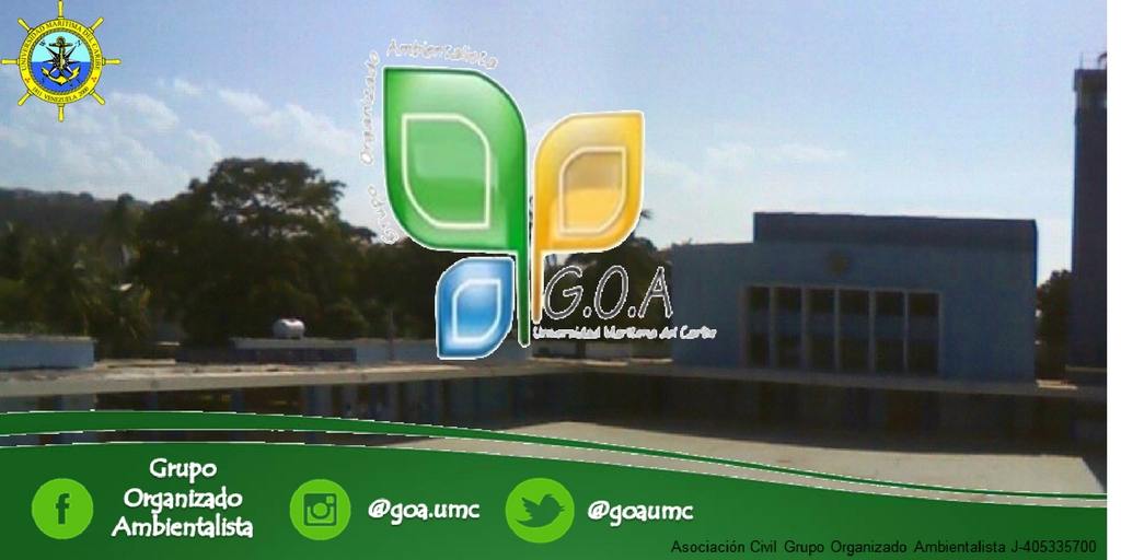 Diseño sin título.jpg