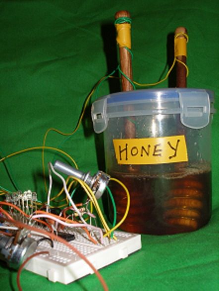 Bioni-Samp Honey Viscosity Synth pic.JPG