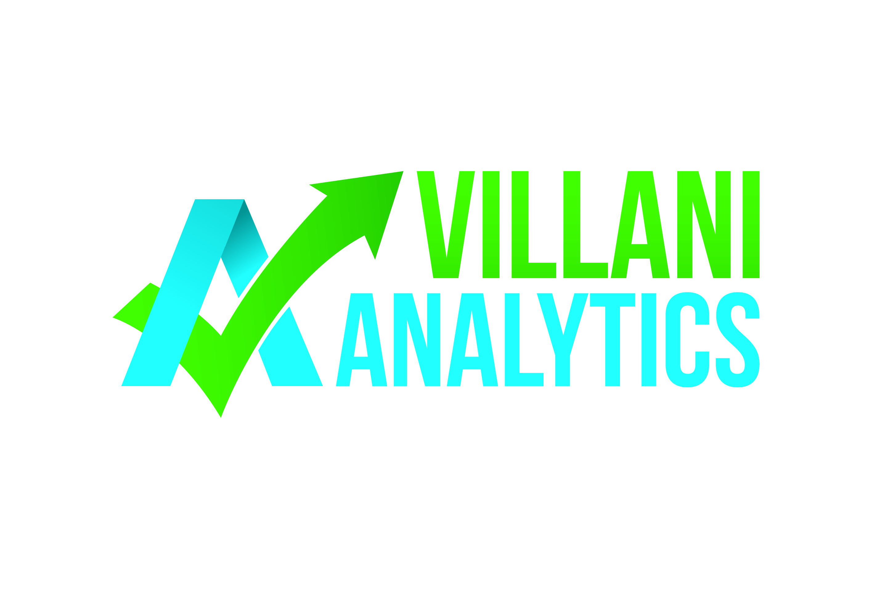 Villani Analytics