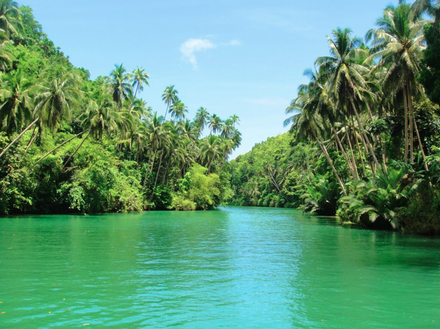 440px-Loboc_river.png