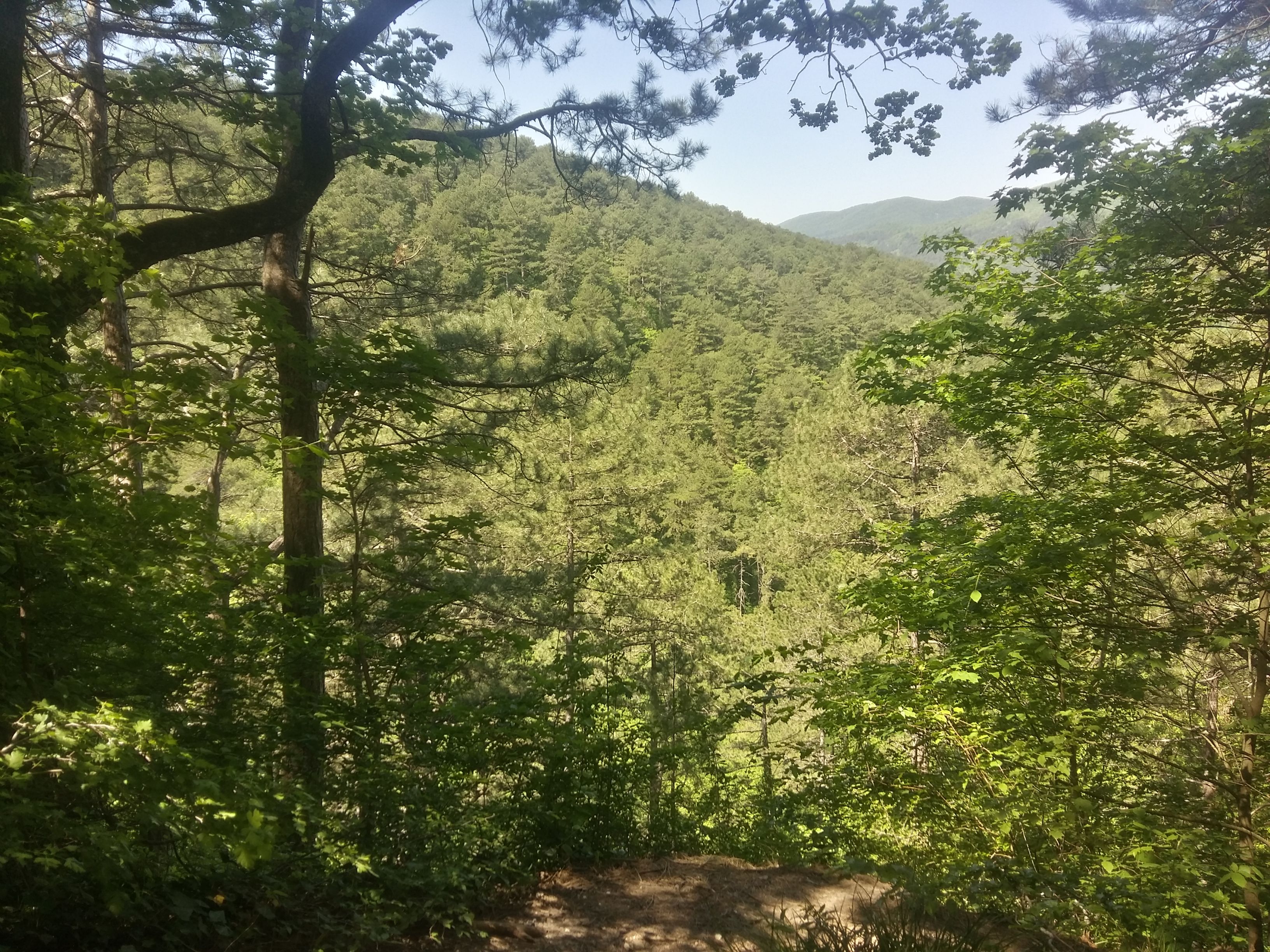 20180502_122050_Richtone(HDR).jpg