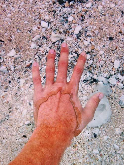 the clearest water you will ever see.jpg