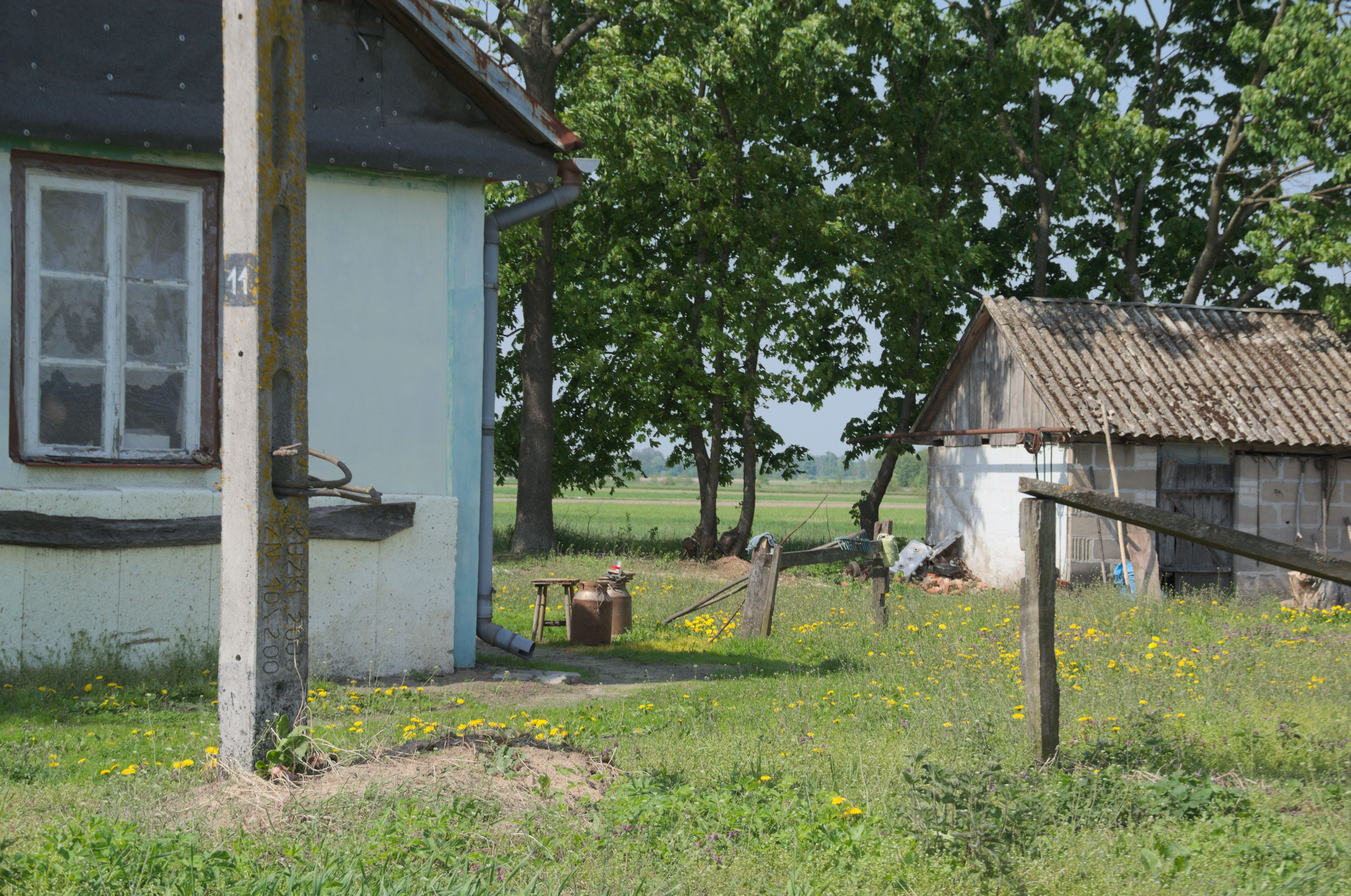 DSC_0293.jpg
