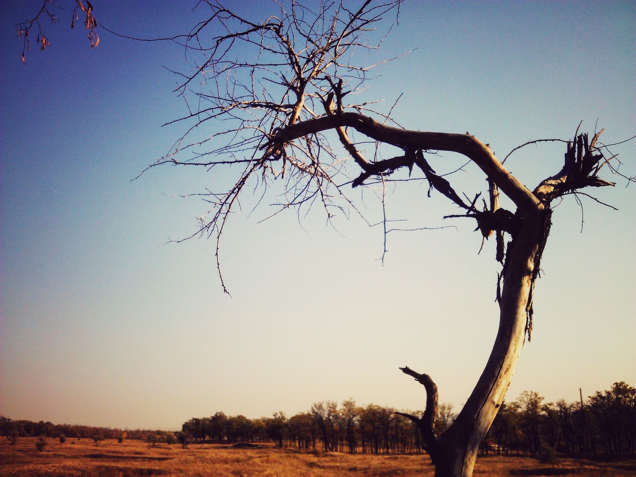 IMG_20121007_153318-01.jpeg