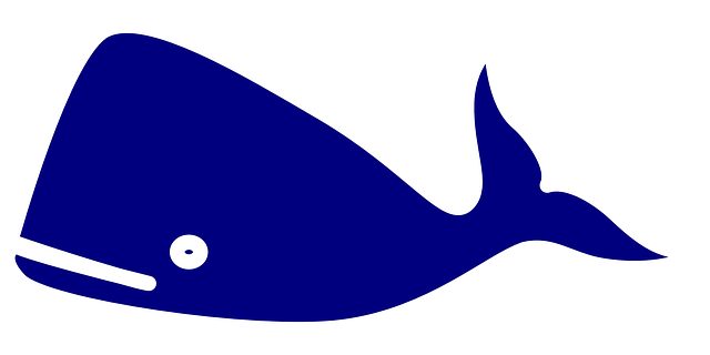 whale-297718_640.png