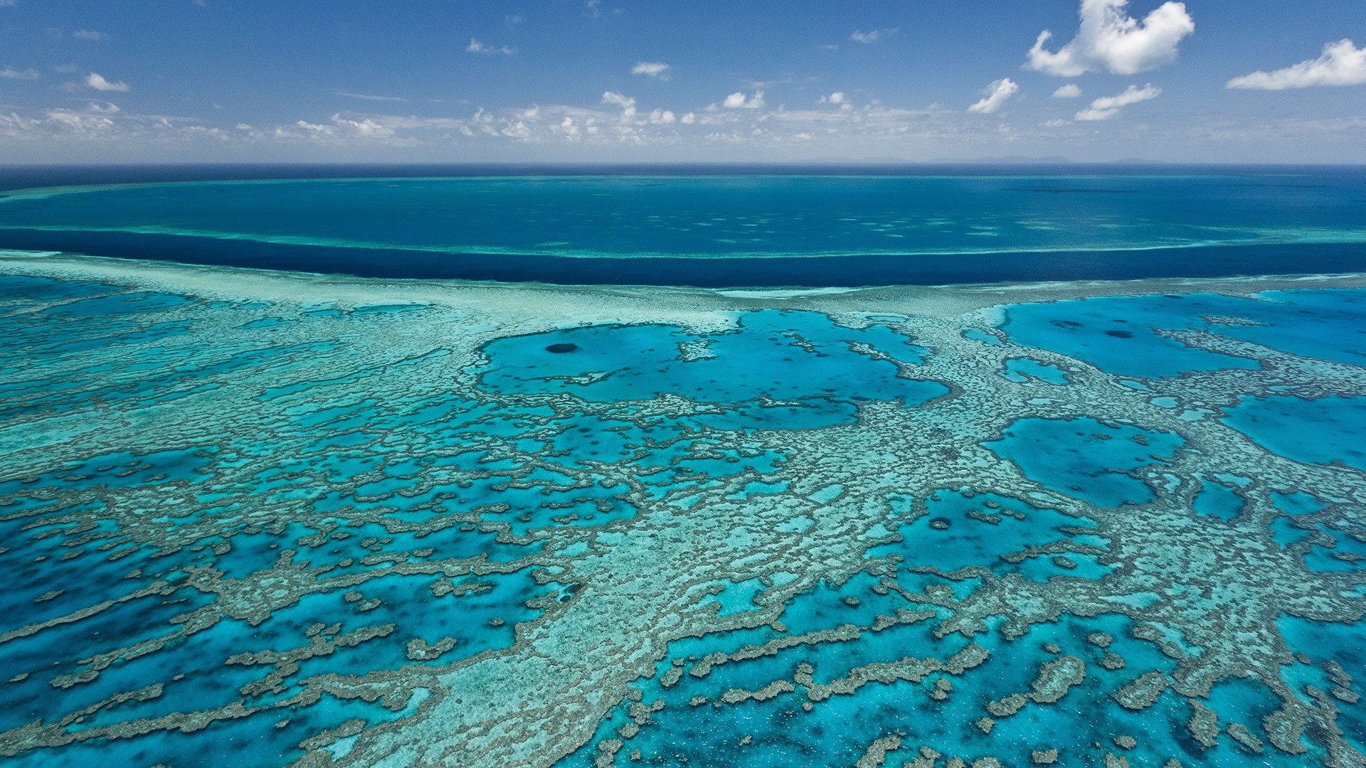 Great Barrier Reef 1920x1080.jpg