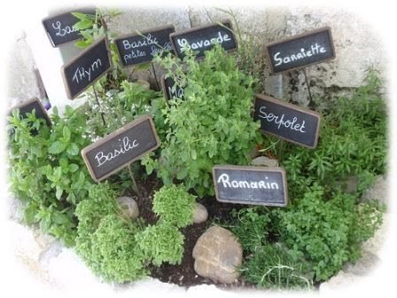 56aa4abd4b97f32456b0b48b8c747334--herb-garden-le-monde.jpg