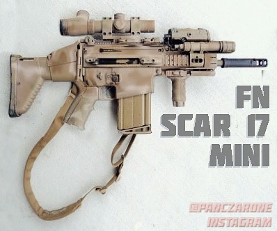 scar17.jpg