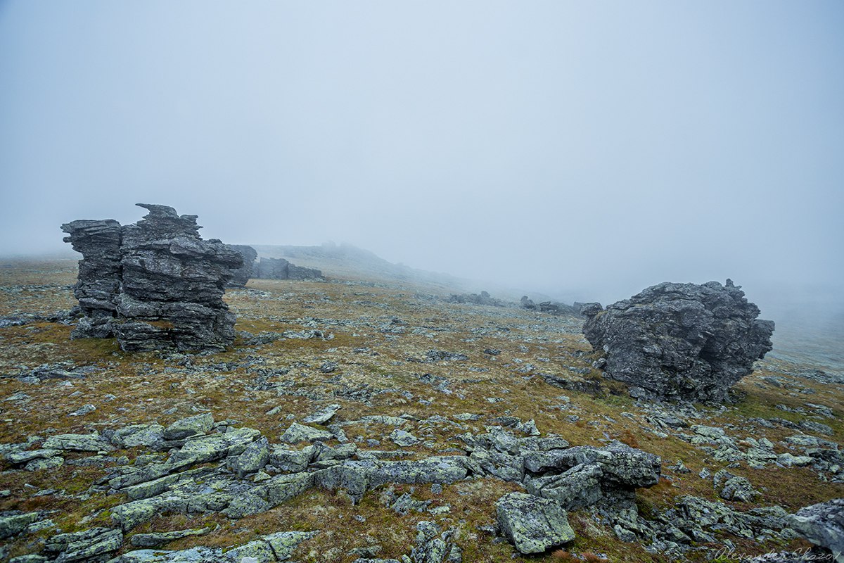 Гора мертвых Гора мертвых