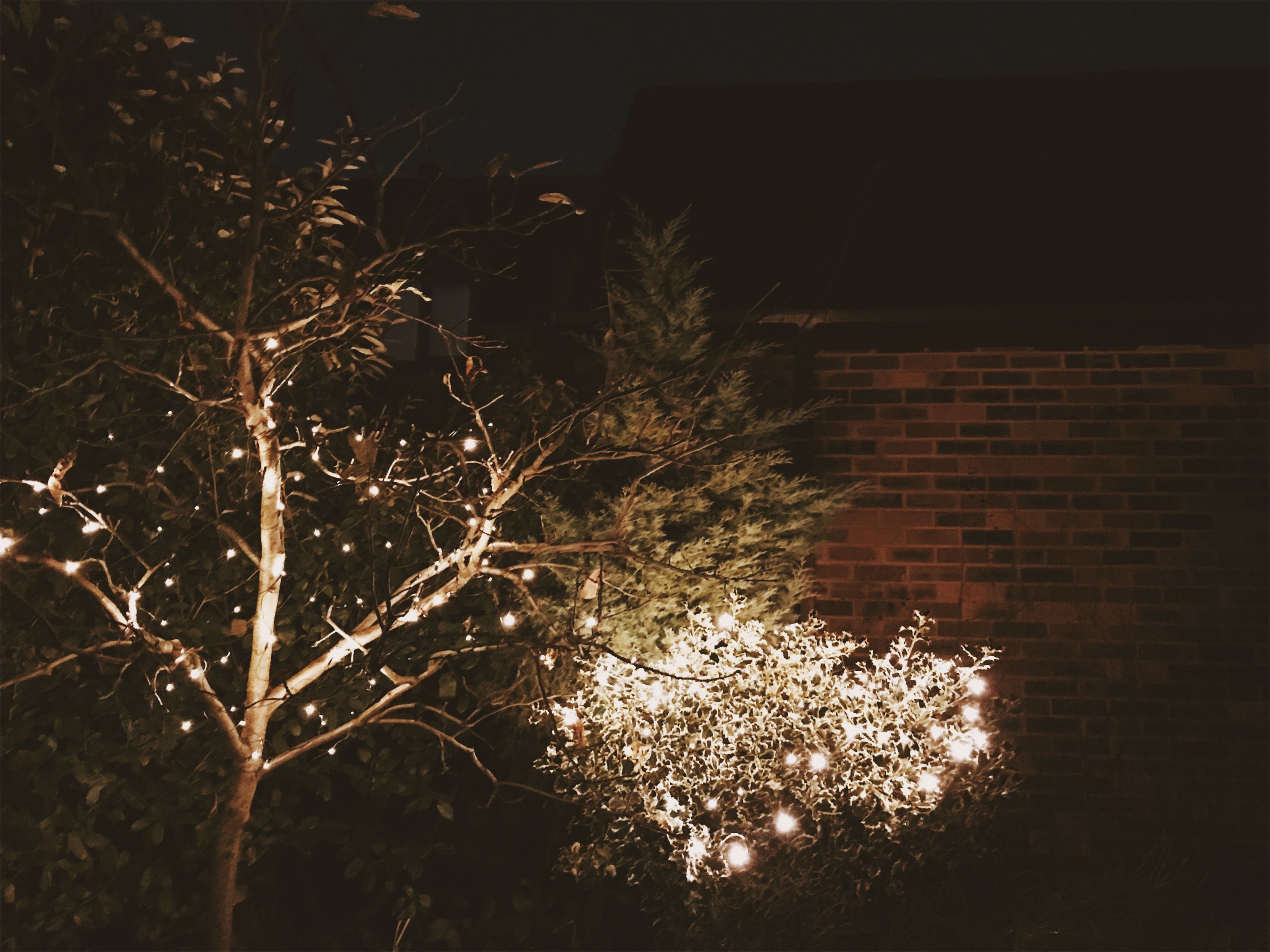 VSCO Cam-8.jpg