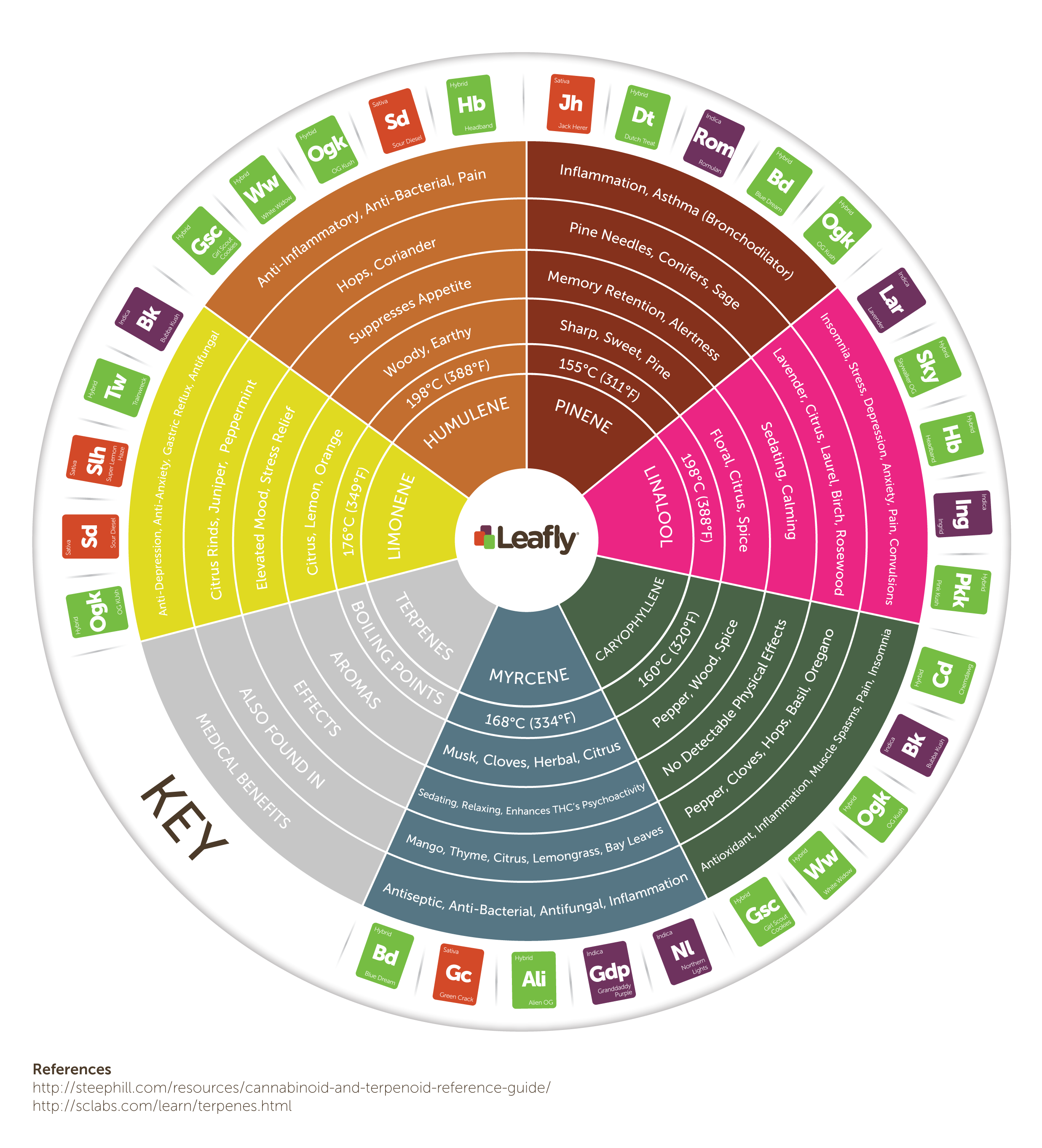 EJqeoWYISkyvq1IoSARU_Terpene-Wheel-Final.png