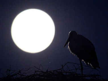 FullMoon_AFP_NEW.jpg