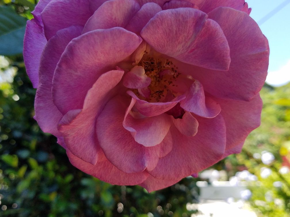 20180324_151659.jpg