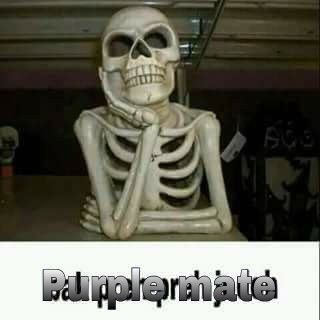 jom.jpg