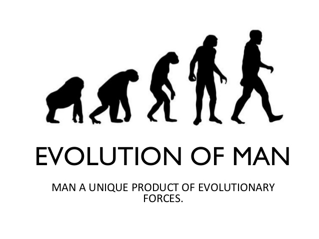 evolutionary line of man