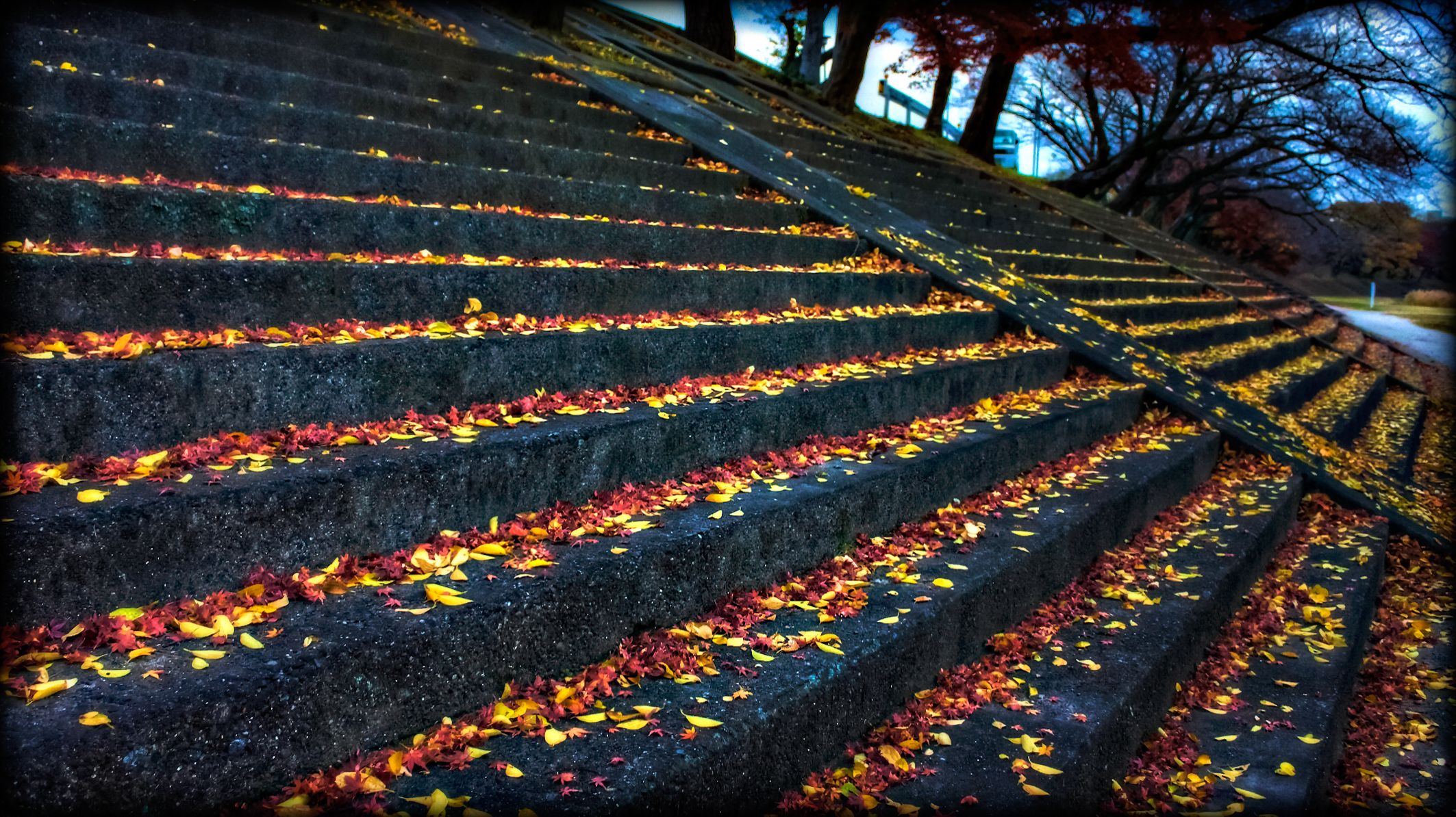 Leaves_Resting_on_Steps.jpg