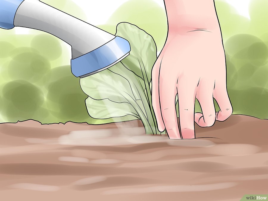 v4-900px-Choose-the-Best-Time-for-Watering-the-Garden-Step-4.jpg