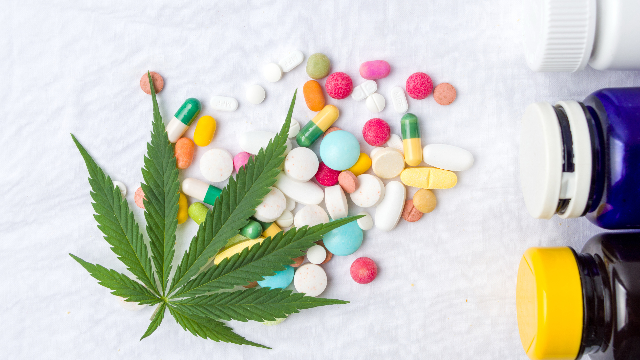 cannabis-therapeutics-the-highs-and-lows-of-developing-cannabinoid-therapies-299809.png