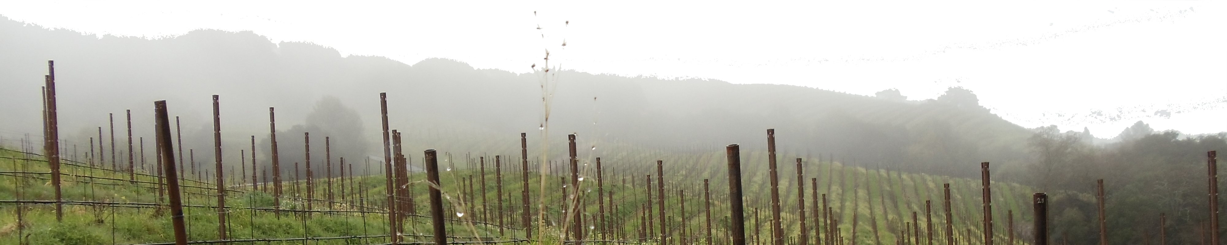 Mt. Veeder.png