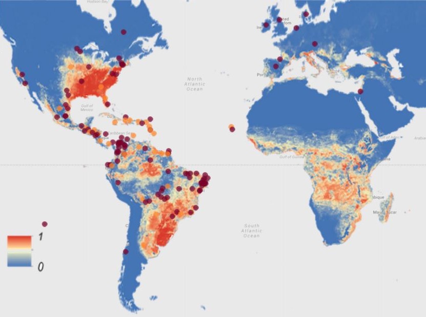 Zika-Virus-Map.jpg