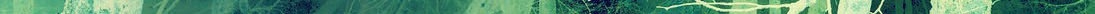 greenneg 3.jpg