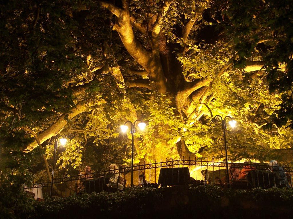 bursa_park_night_1024_x_768.jpg