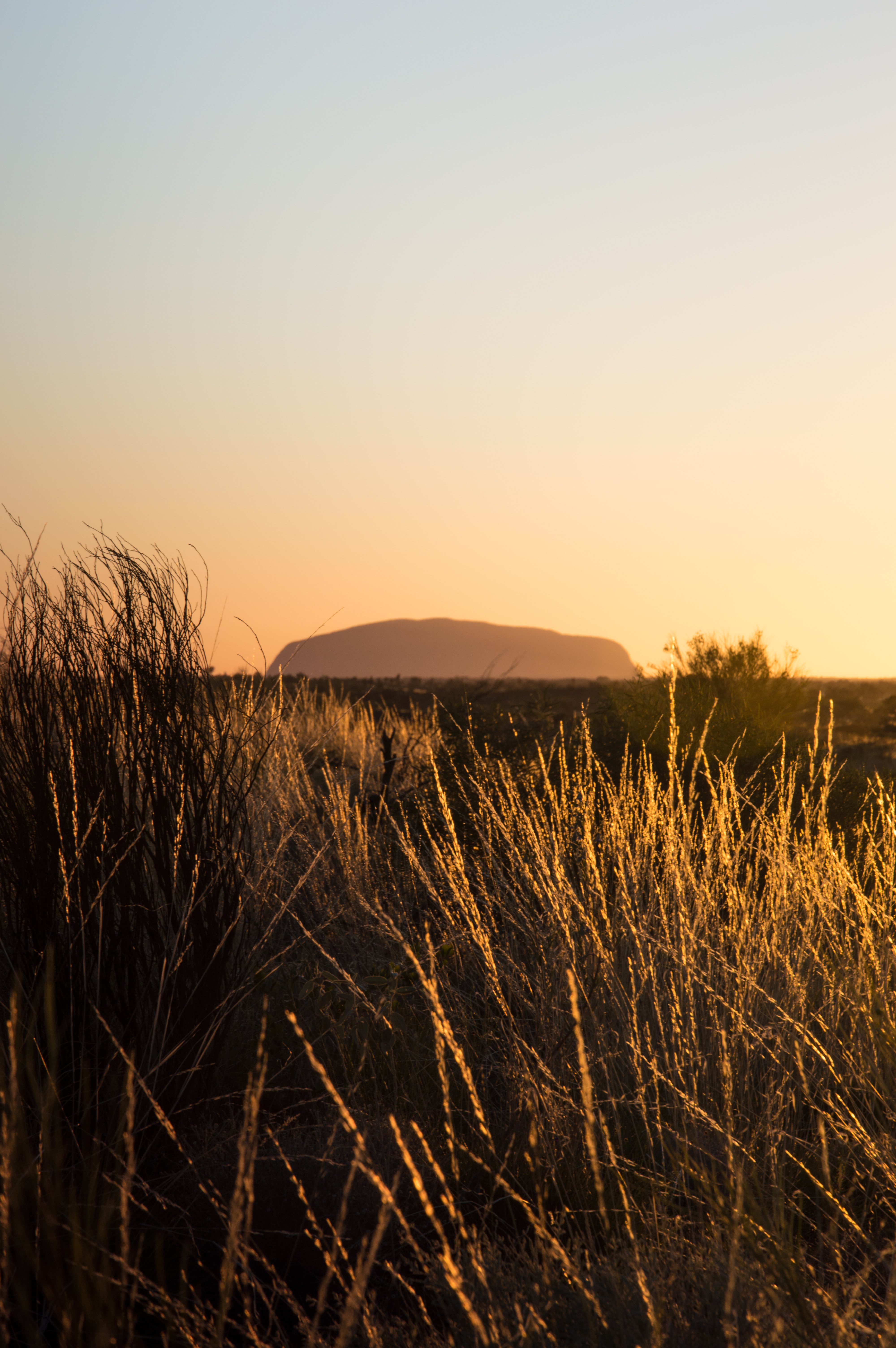 outback.jpg