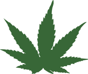 historian-clipart-marijuana-leaf-md.png