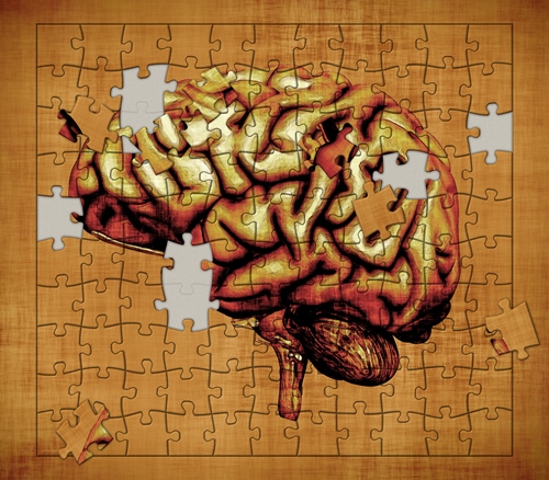 brain + puzzle pieces-small.jpg