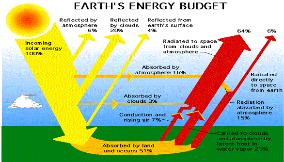 How every life on earth is powered by the sun — Steemit