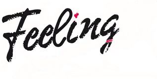 logo_feeling..jpg