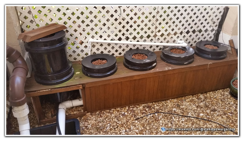 Front-Hyrdogarden-Update-02-SteemPowerGarden.png