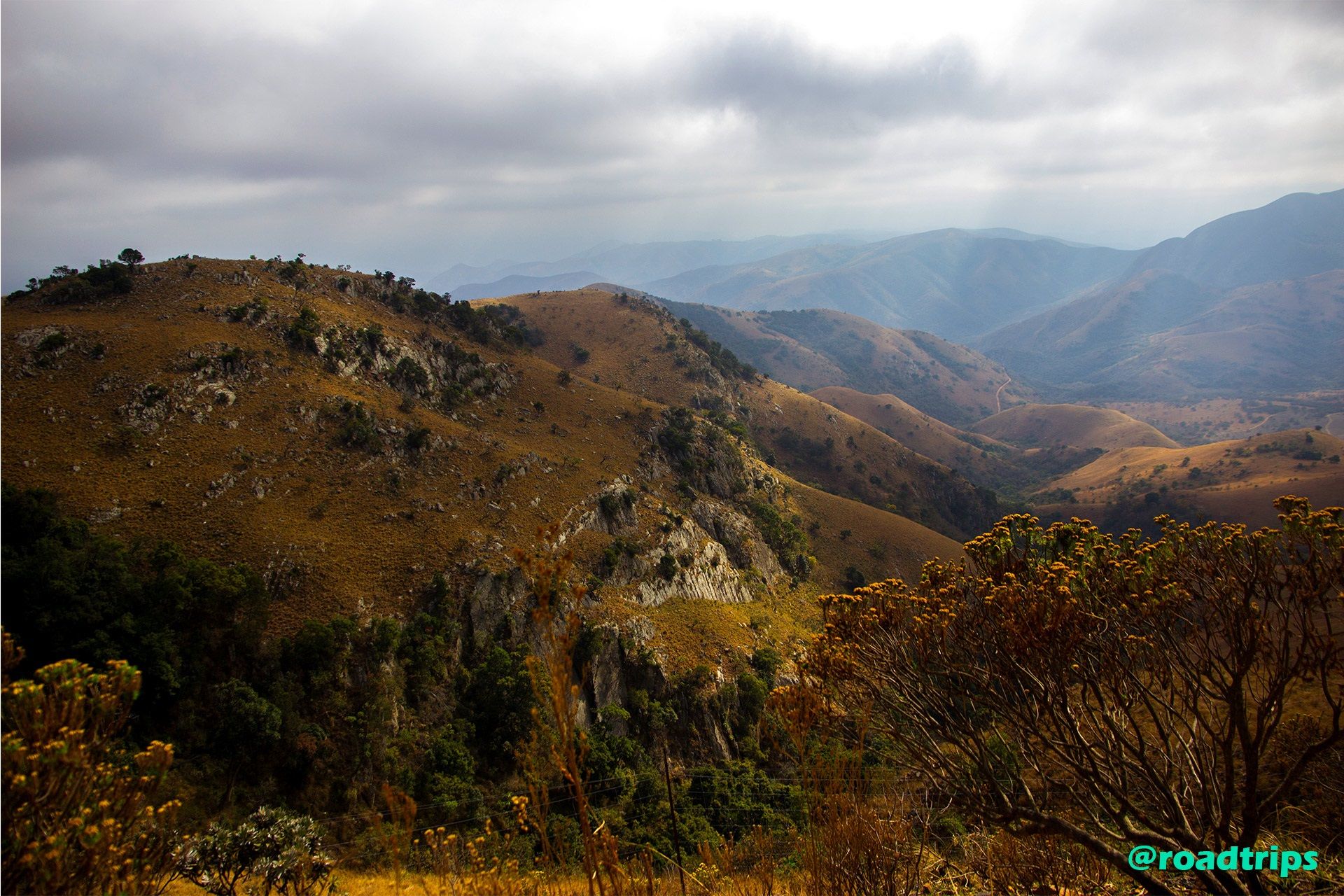 Pass to Swaziland.jpg