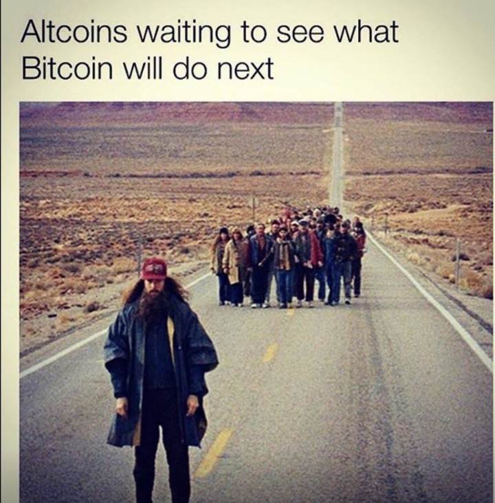 altcoin waiting.jpg