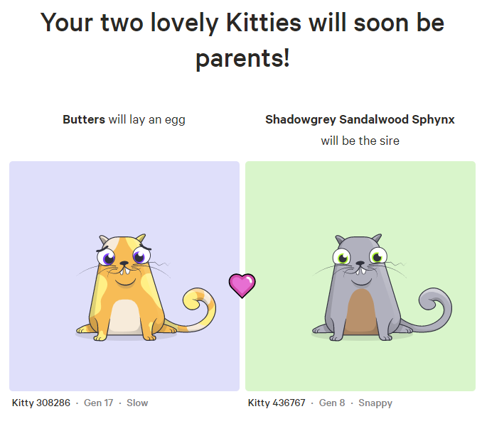 kittylitter1.png