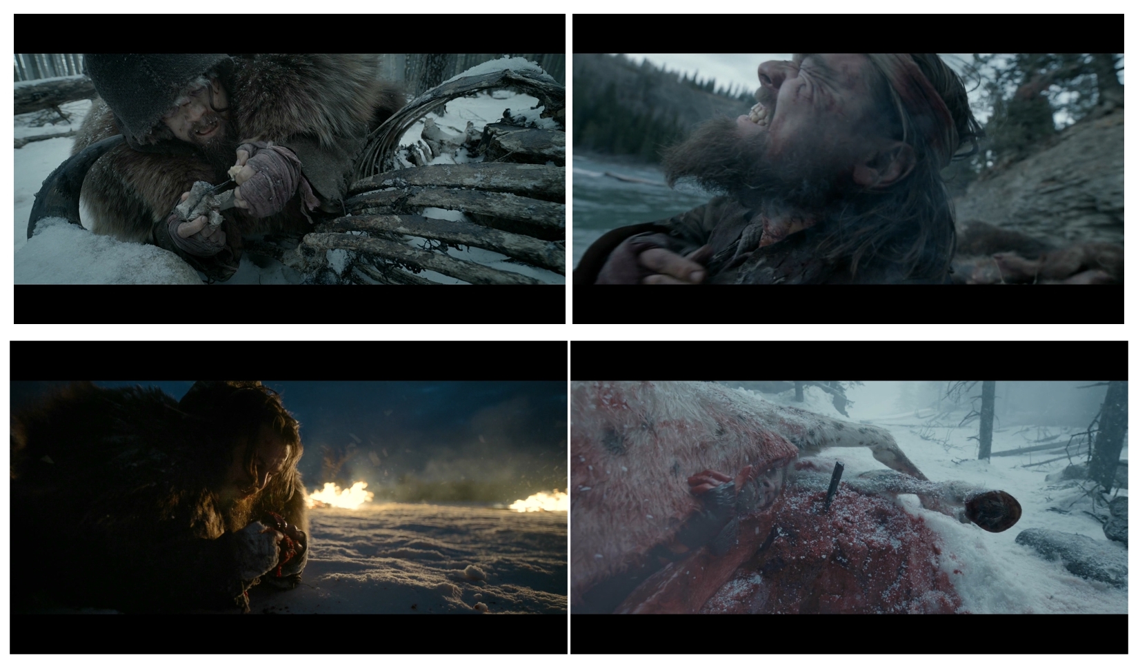 The.Revenant.2015.BD1080P.X264.AAC.English.CHS-ENG.Mp4Ba.mp4_20171006_225741.720_副本.jpg