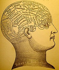 200px-Phrenology1 (1).jpg