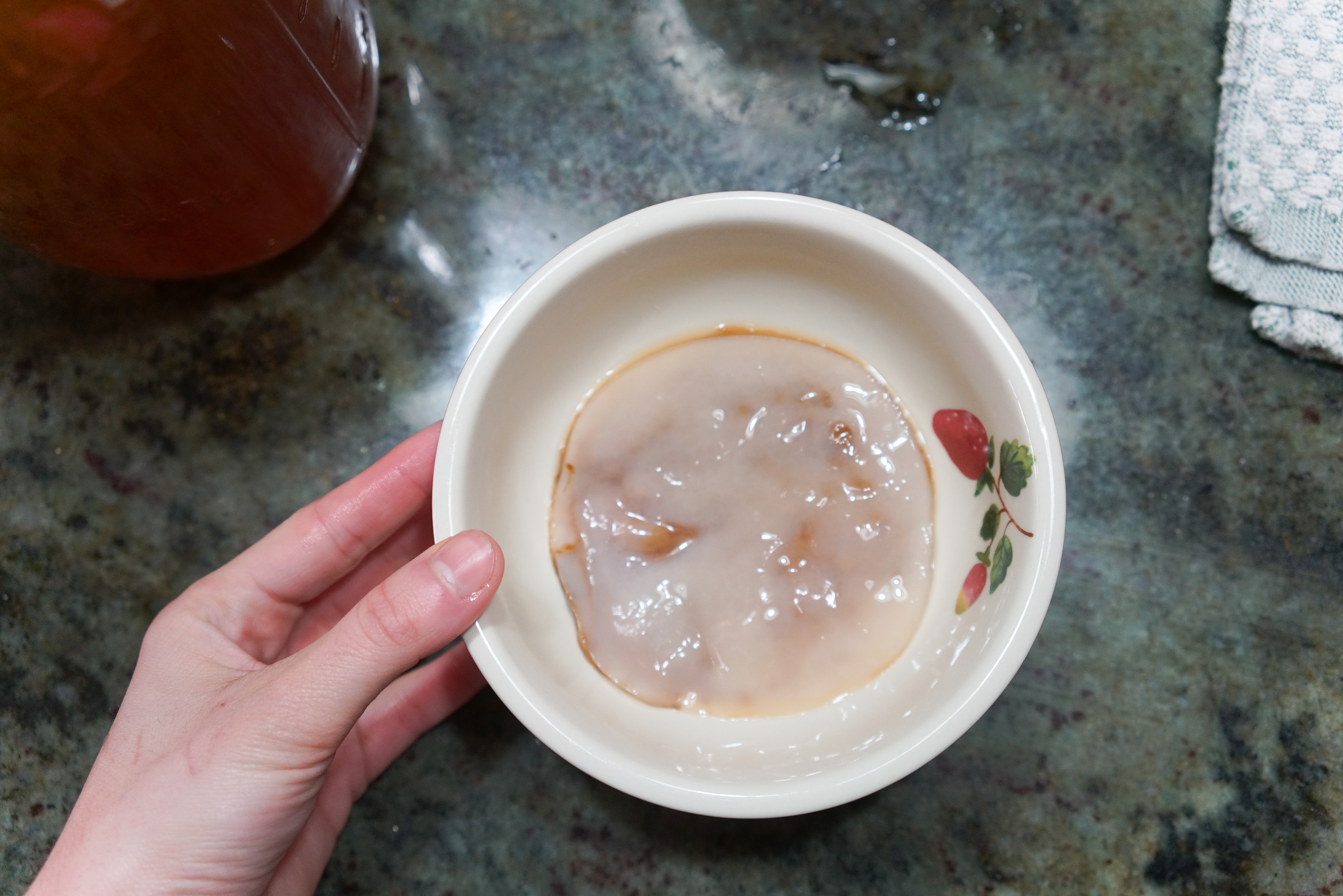 kombucha-03250.jpg