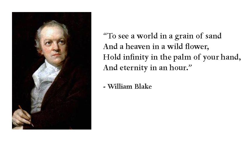 william-blake-world-grain-sand-quote-inspiration.jpg