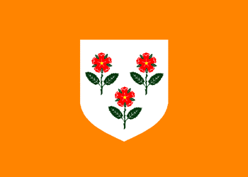 Flag_of_Rose_Island.png