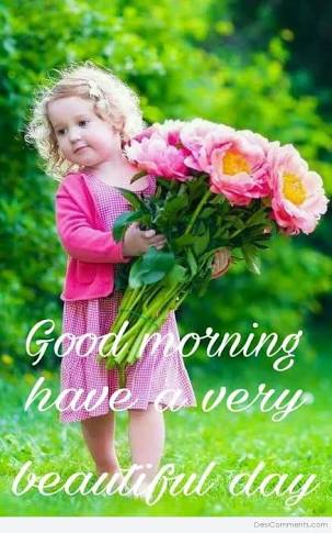 good morning friends have a good day