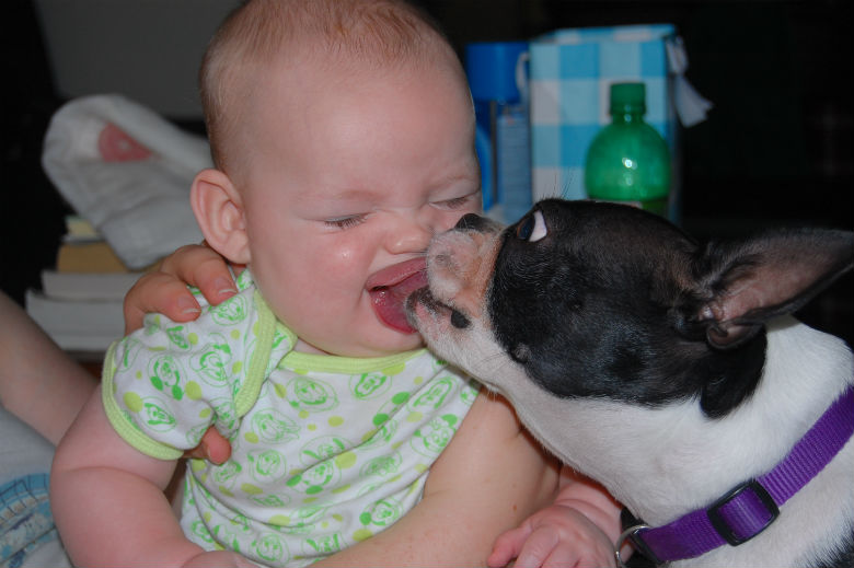 Dog-kissing-baby.jpg