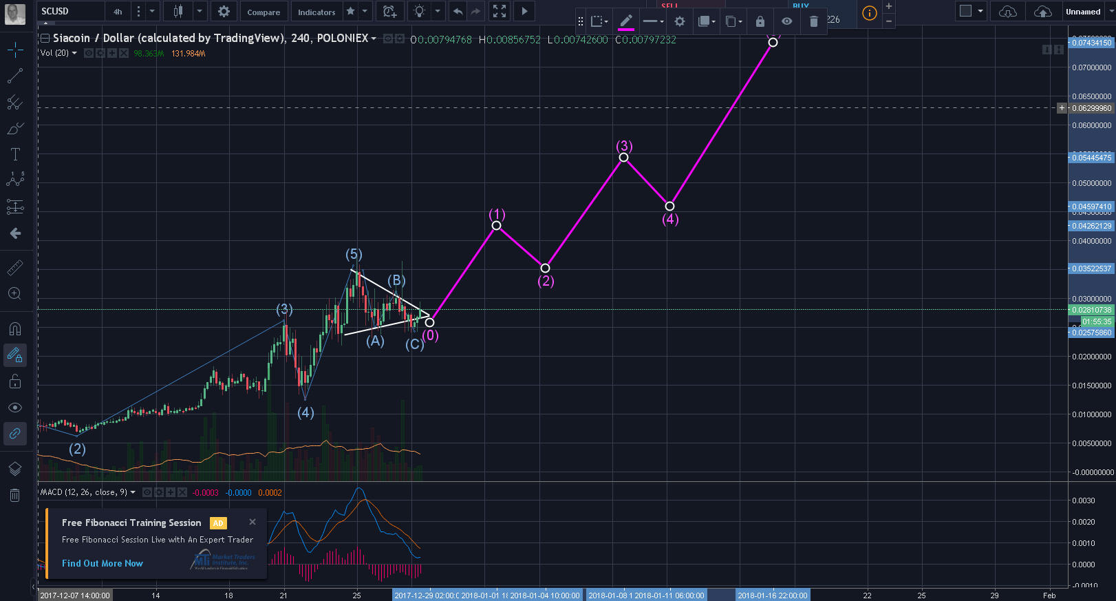 SIACOIN predictive elliot wave 12.28.17.jpg