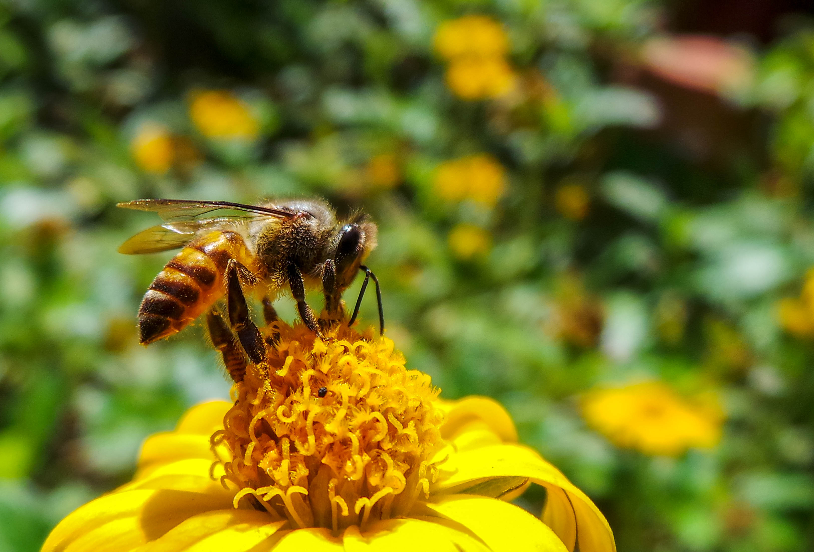 calvin 4 (1 of 1).jpg