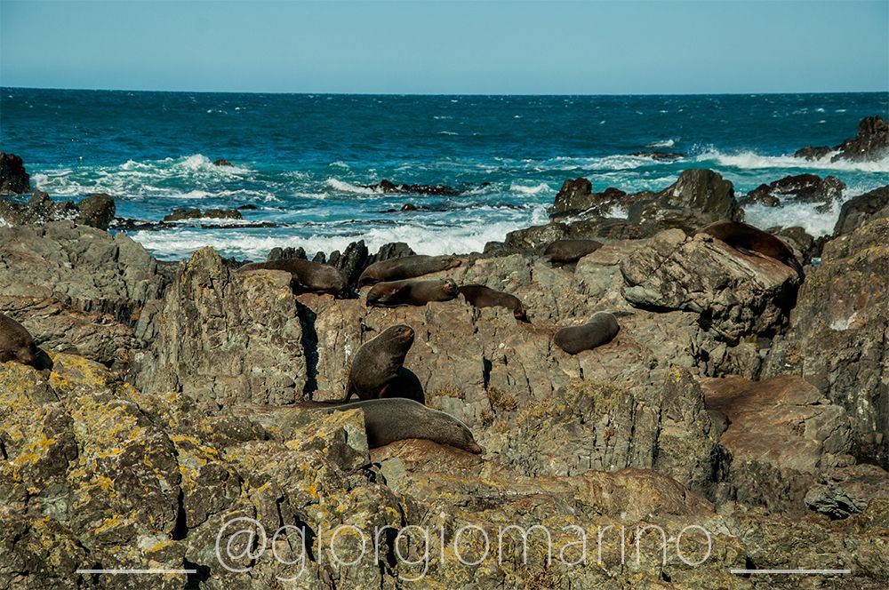 Wellington_002_redRocks_005.jpg