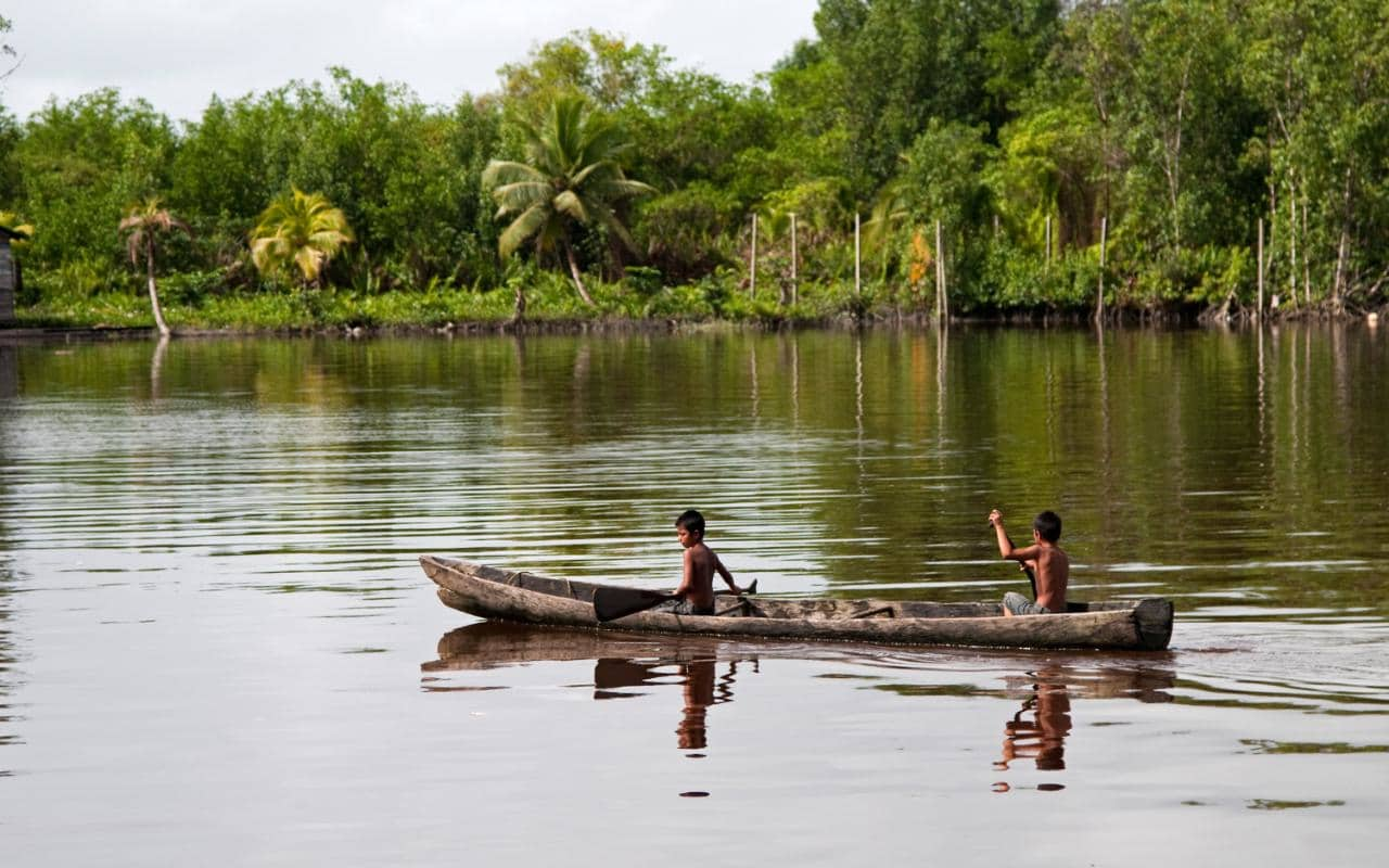 guyana-alamy-2-xlarge.jpg