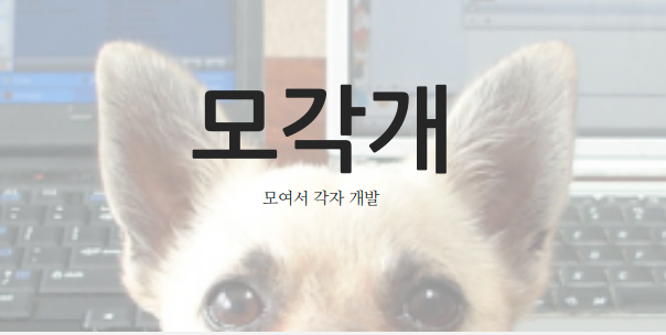 Image of mogakgae