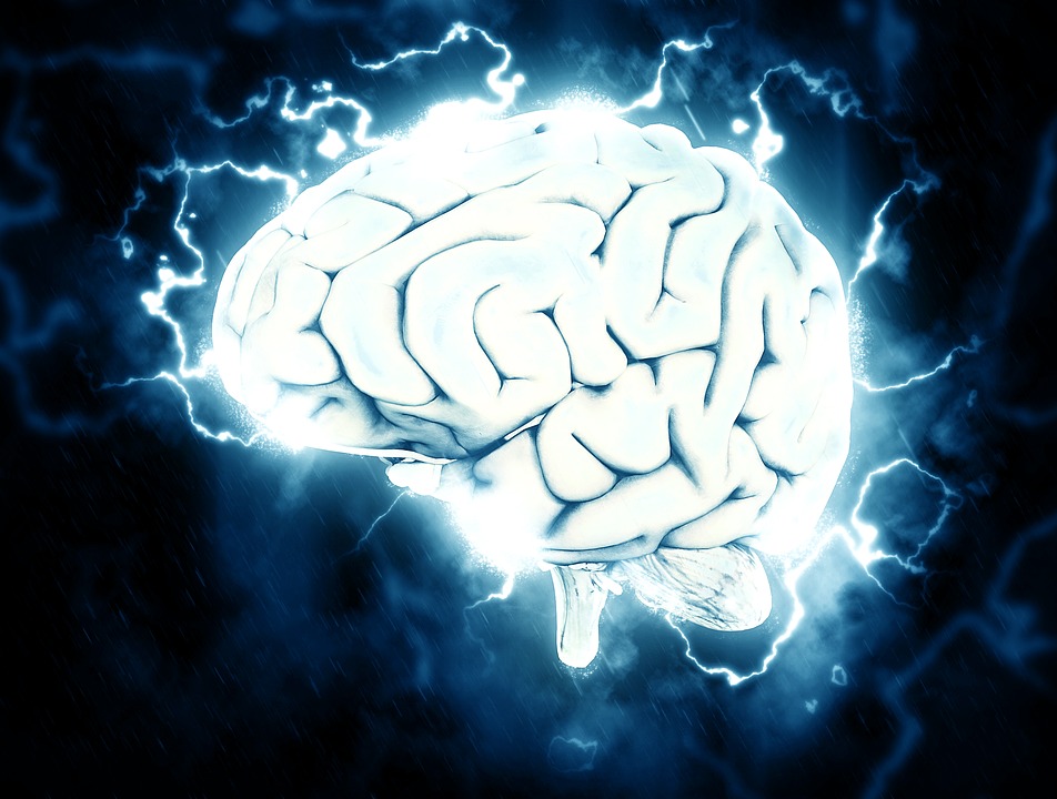 brain1-1845962_960_720.jpg